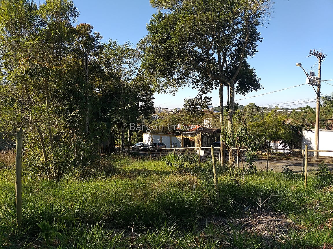Terreno Residencial à venda em Novo Horizonte, Juiz de Fora - MG - Foto 4