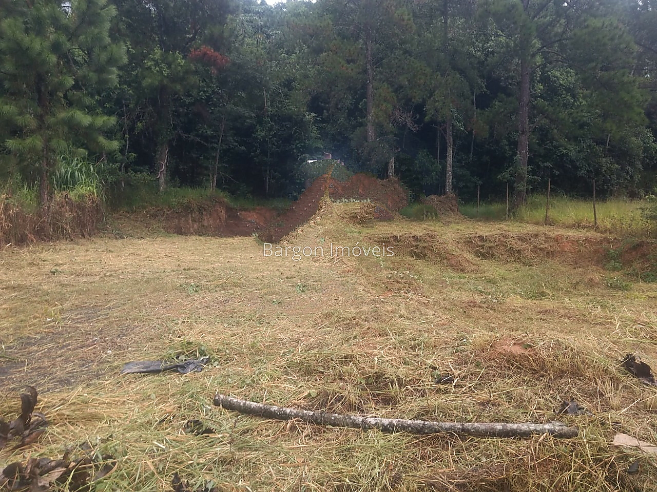 Terreno Residencial à venda em Recanto da Mata, Juiz de Fora - MG - Foto 3