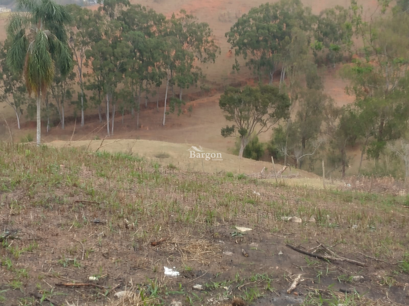 Terreno Residencial à venda em Parque Guarani, Juiz de Fora - MG - Foto 5