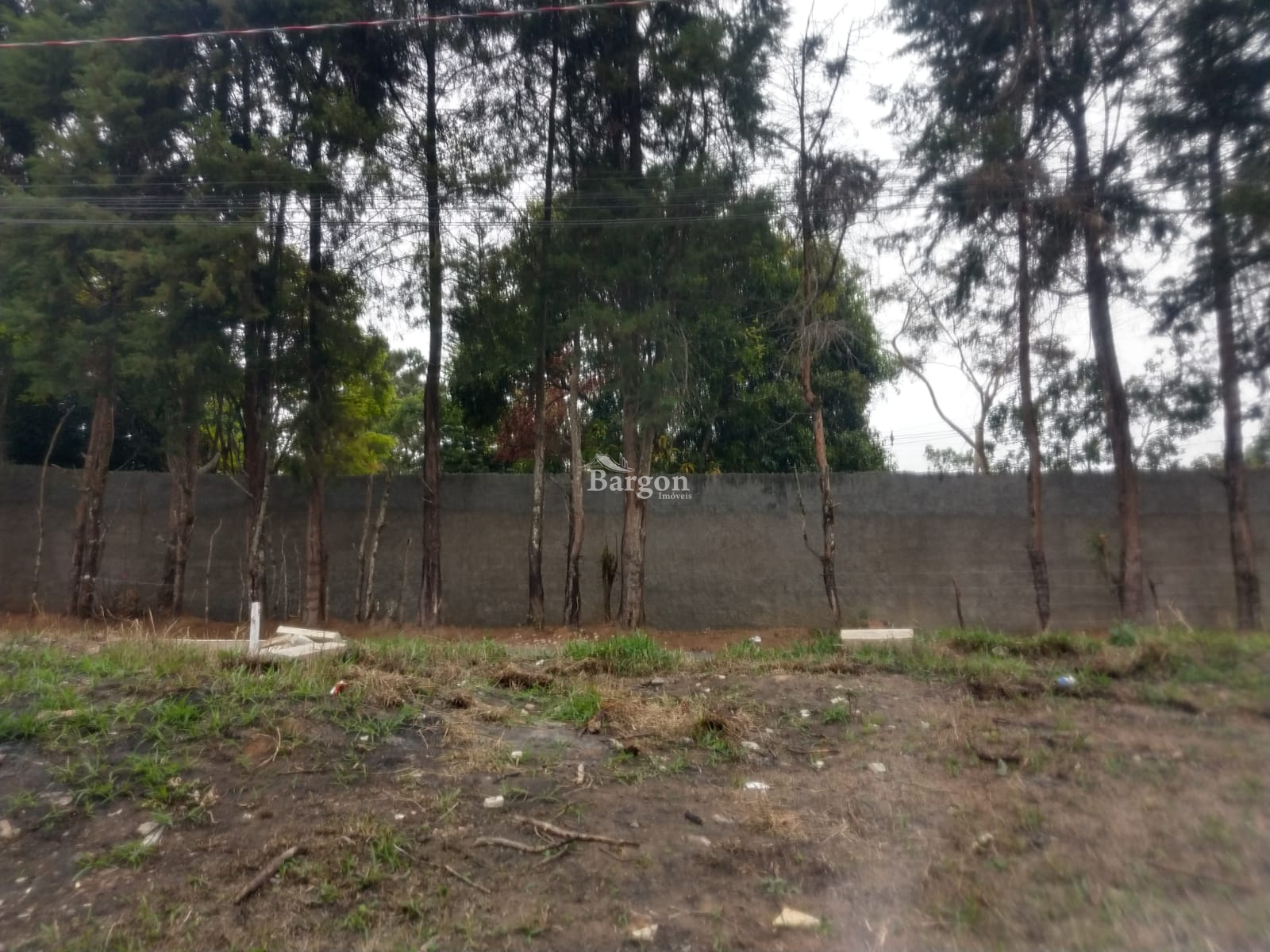 Terreno Residencial à venda em Parque Guarani, Juiz de Fora - MG - Foto 2