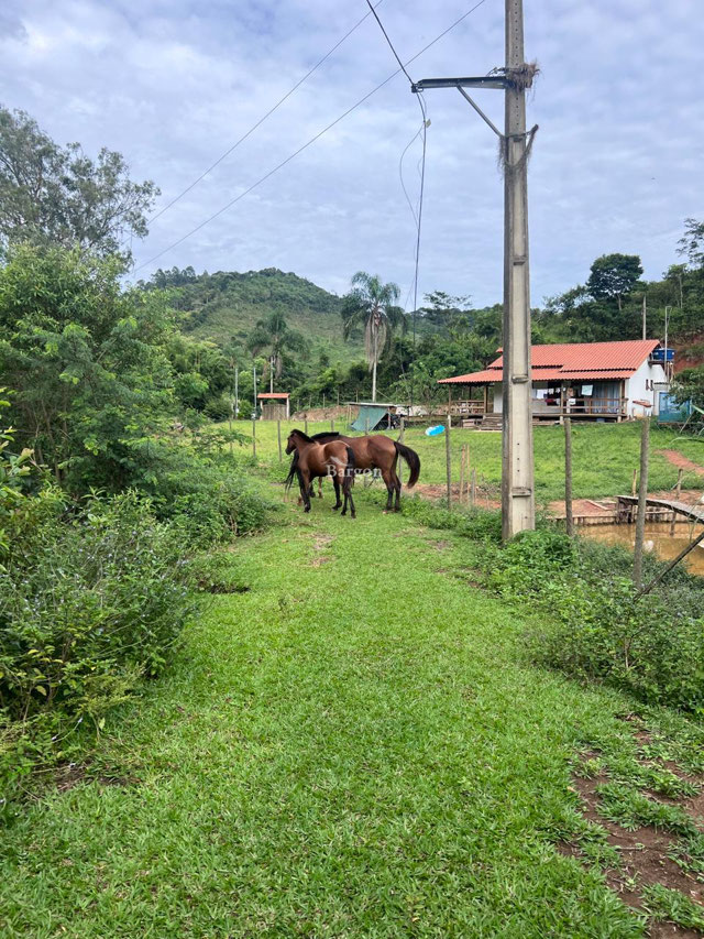 Foto cadastro cód. 4178