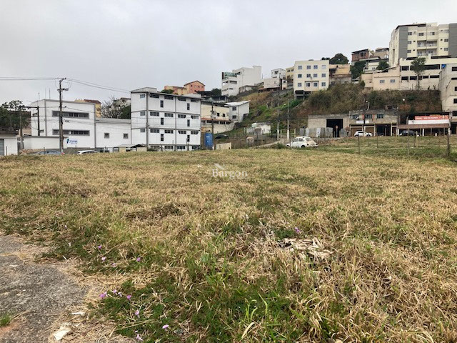 Foto cadastro cód. 4255