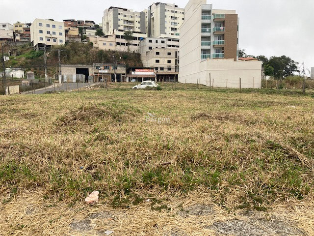 Foto cadastro cód. 4255