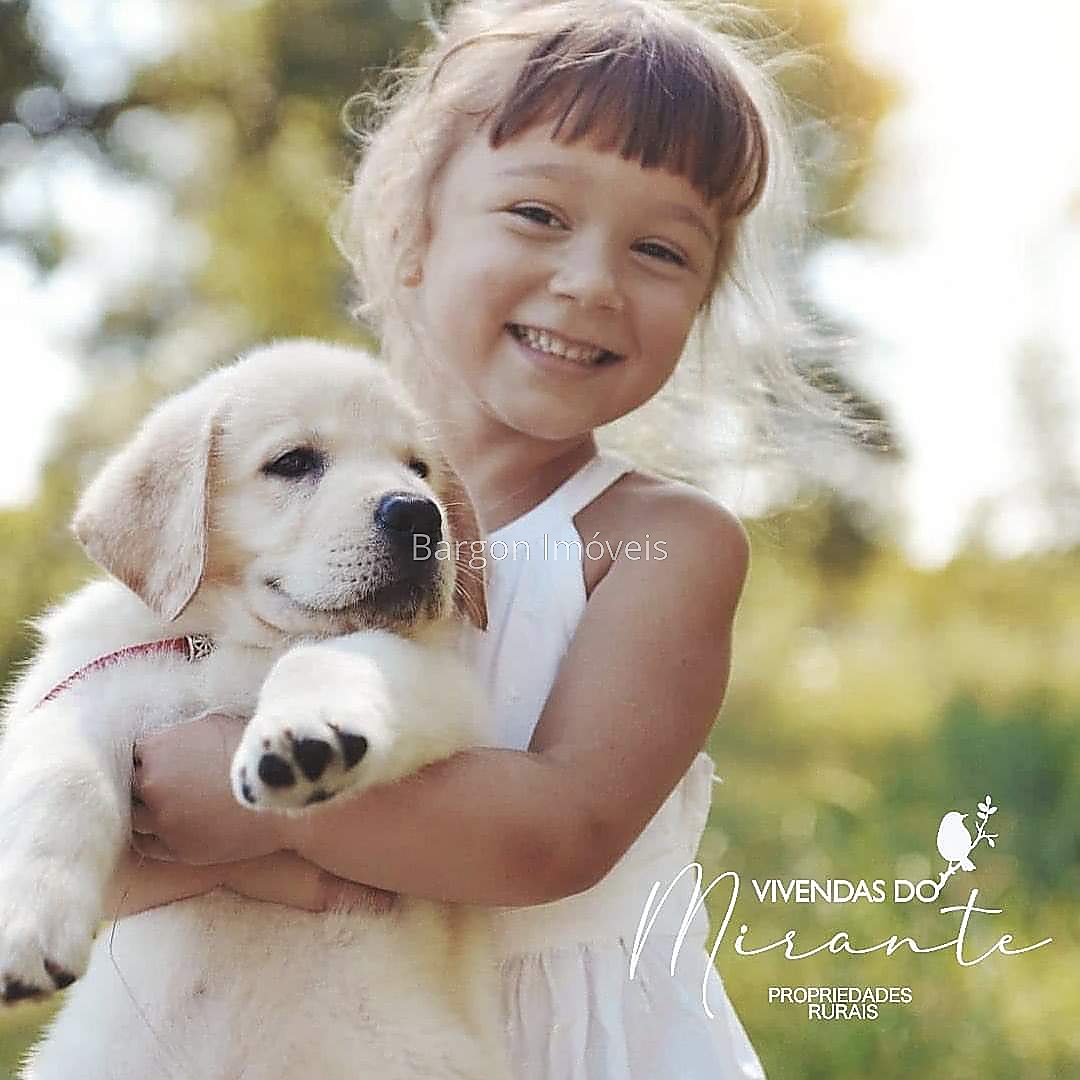 Terreno Residencial à venda em São Geraldo, Juiz de Fora - MG - Foto 15