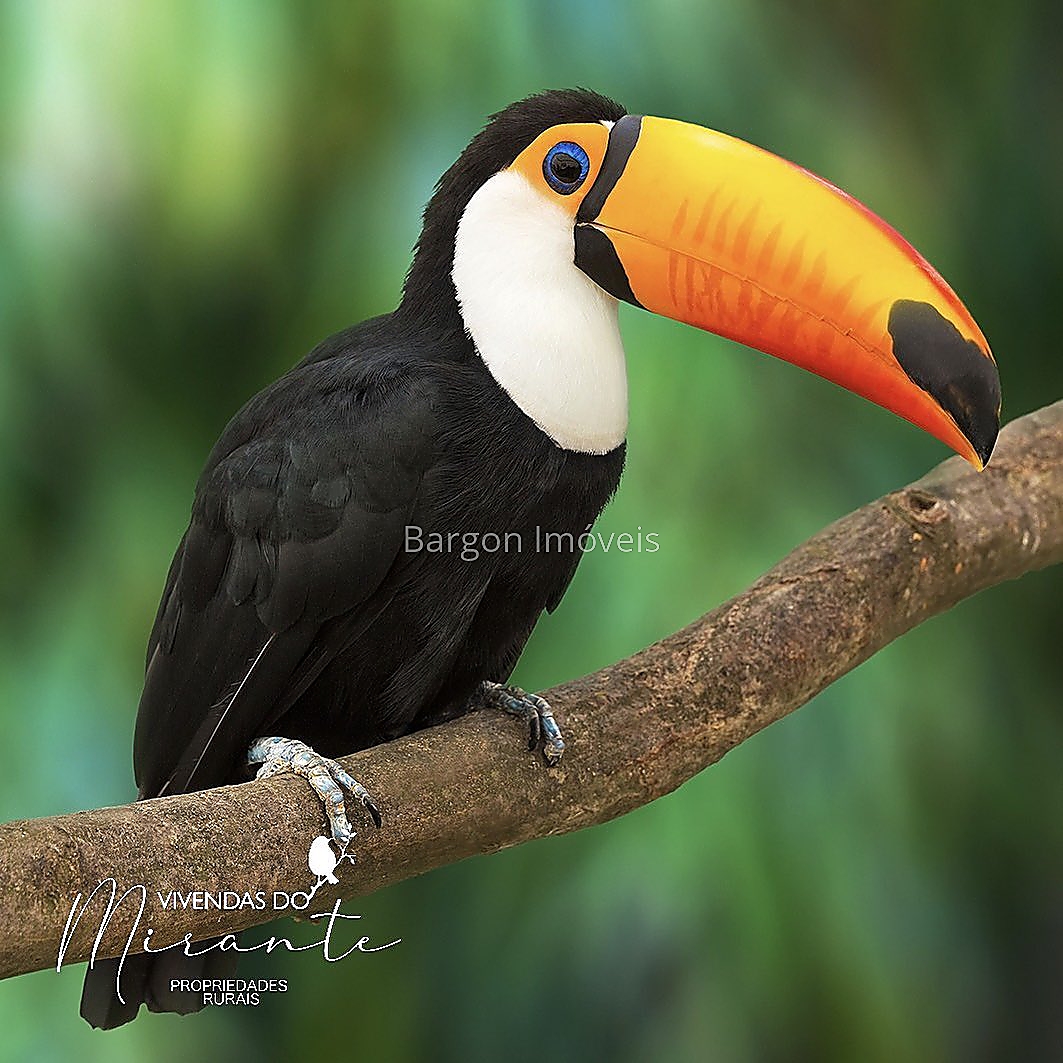 Terreno Residencial à venda em São Geraldo, Juiz de Fora - MG - Foto 20