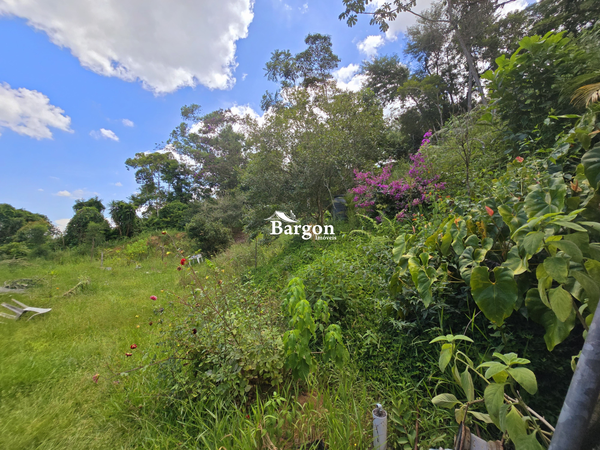 Chácara à venda em Nova Califórnia, Juiz de Fora - MG - Foto 50