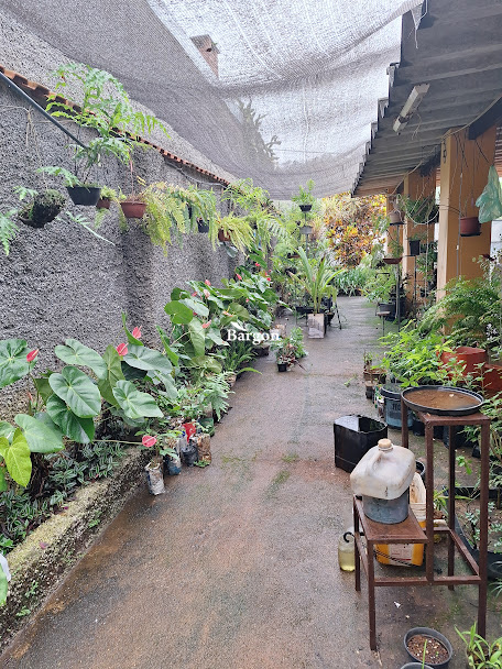 Chácara à venda em Nova Califórnia, Juiz de Fora - MG - Foto 33