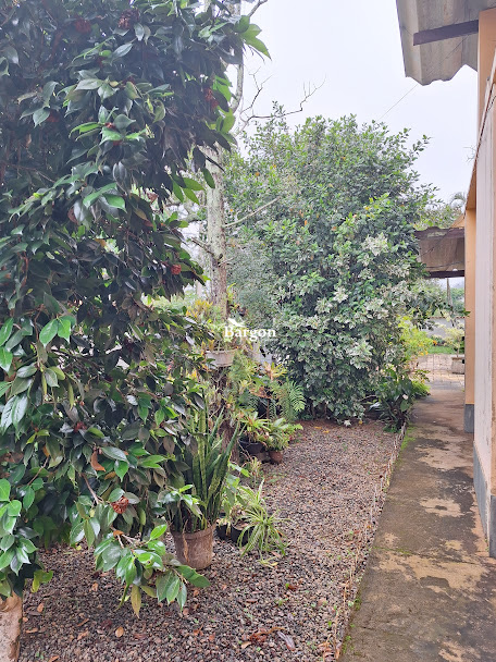 Chácara à venda em Nova Califórnia, Juiz de Fora - MG - Foto 47