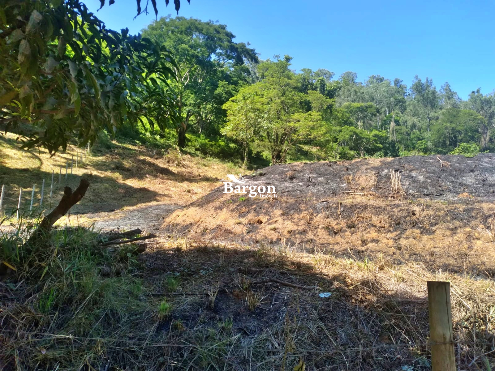 Terreno Residencial à venda em Monte Verde, Juiz de Fora - MG - Foto 6