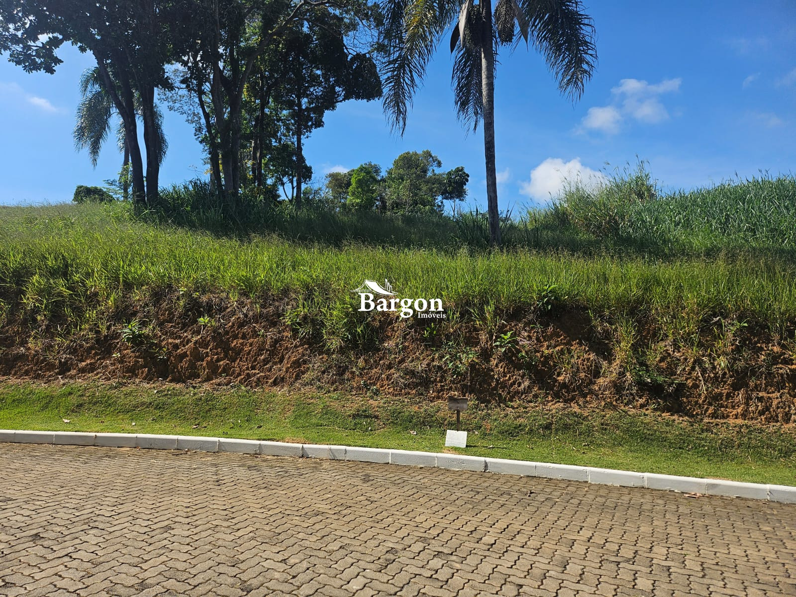Terreno Residencial à venda em Salvaterra, Juiz de Fora - MG - Foto 9