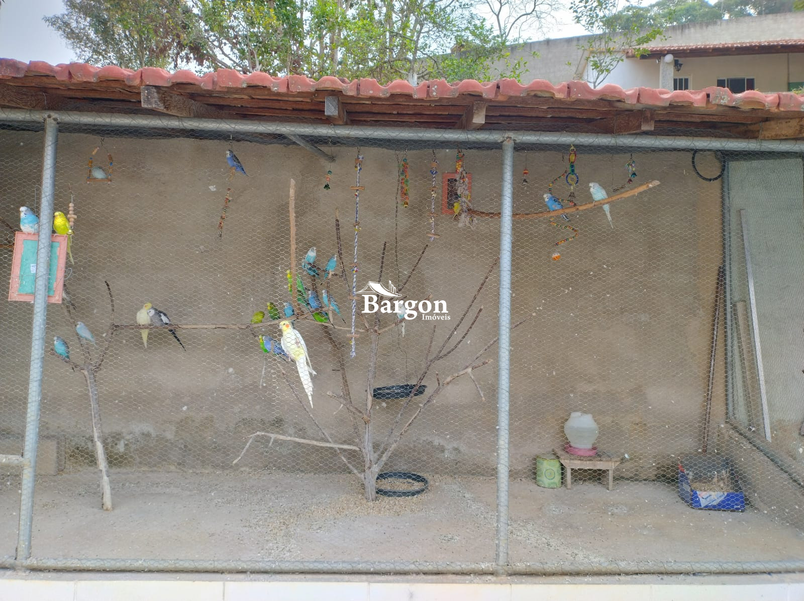 Chácara à venda em Filgueiras, Juiz de Fora - MG - Foto 9