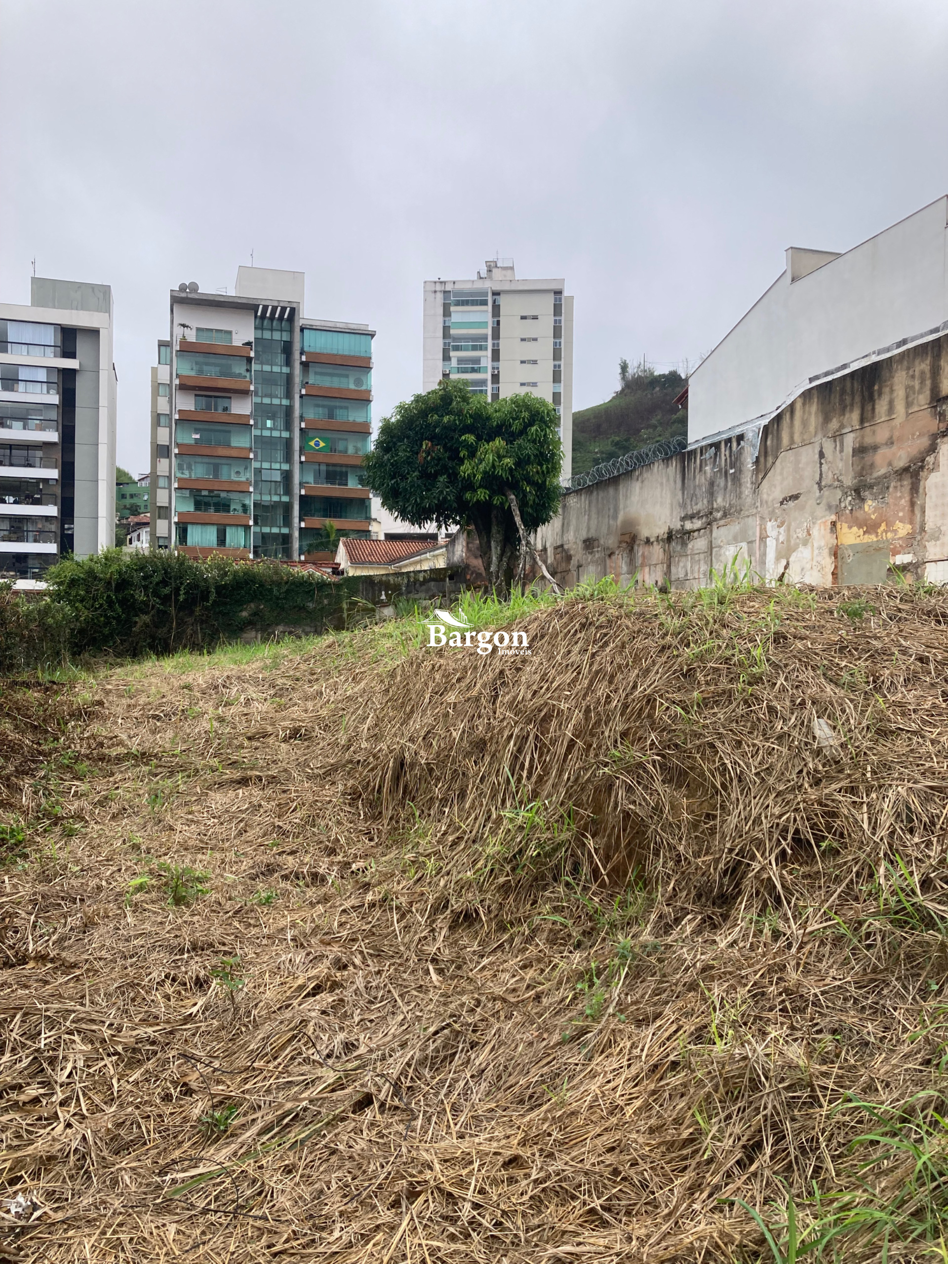 Terreno Residencial à venda em Bom Pastor, Juiz de Fora - MG - Foto 5