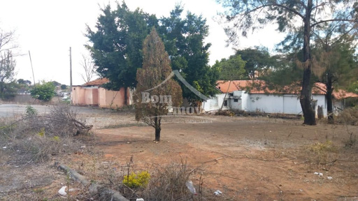 Foto cadastro cód. 239