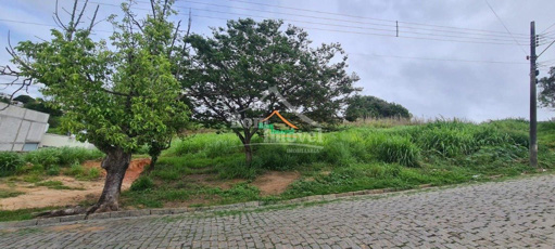 Foto cadastro cód. 243