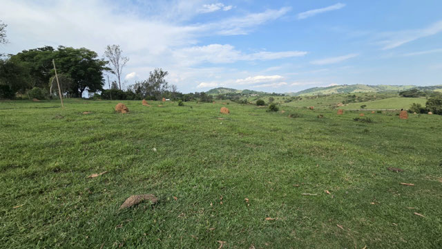 Foto cadastro cód. 630