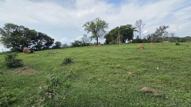 Foto cadastro cód. 630