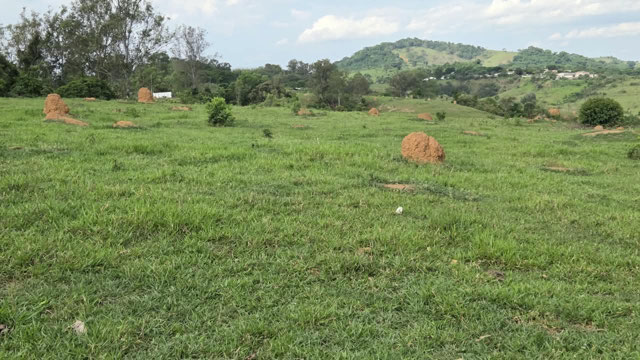 Foto cadastro cód. 630