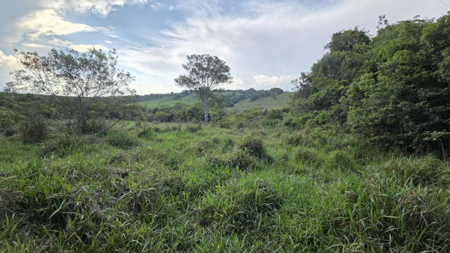 Foto cadastro cód. 631