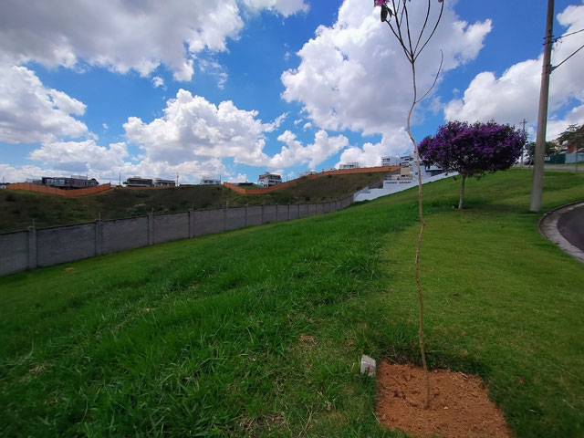 Foto cadastro cód. 7491