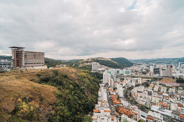 Vista