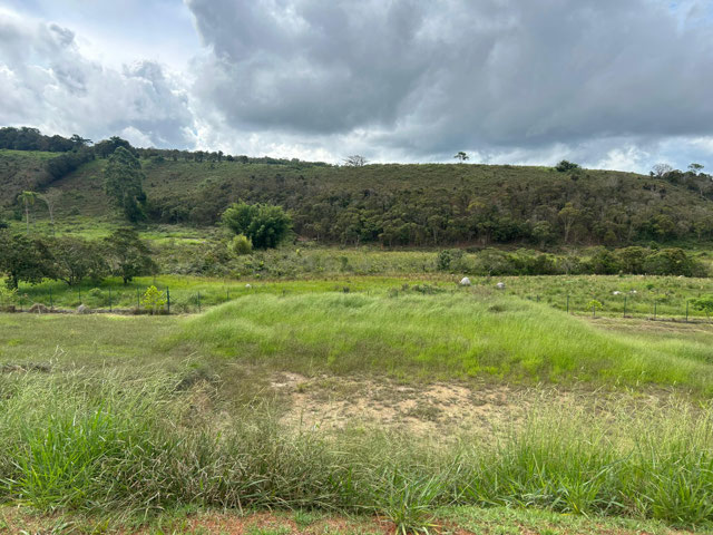 Foto cadastro cód. 8974