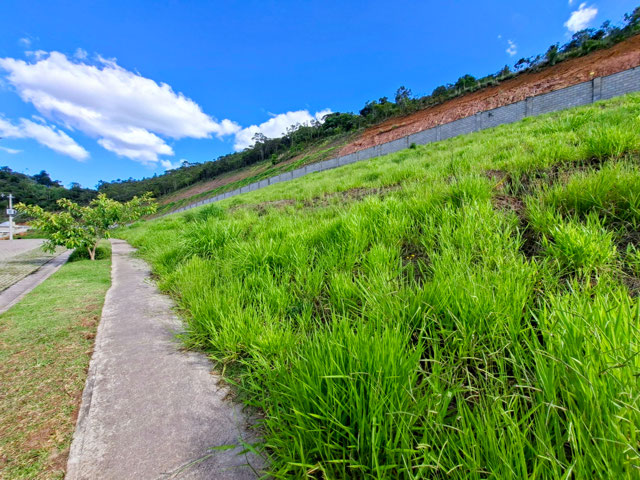 Foto cadastro cód. 8986