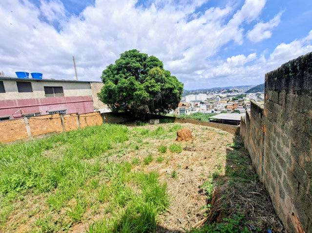 Foto cadastro cód. 9036