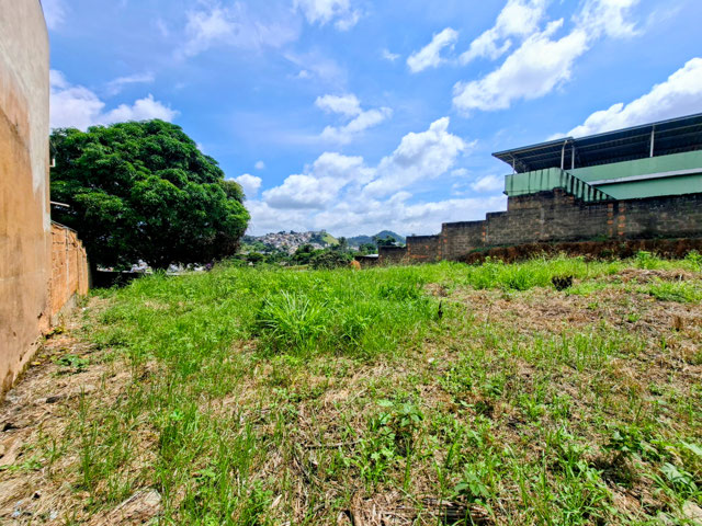 Foto cadastro cód. 9036