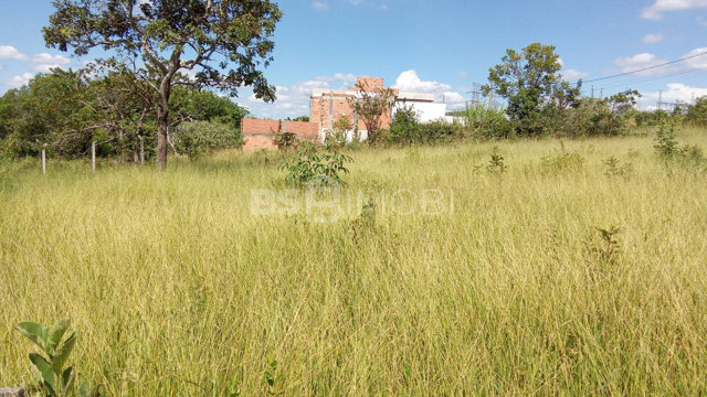 Foto cadastro cód. 1038