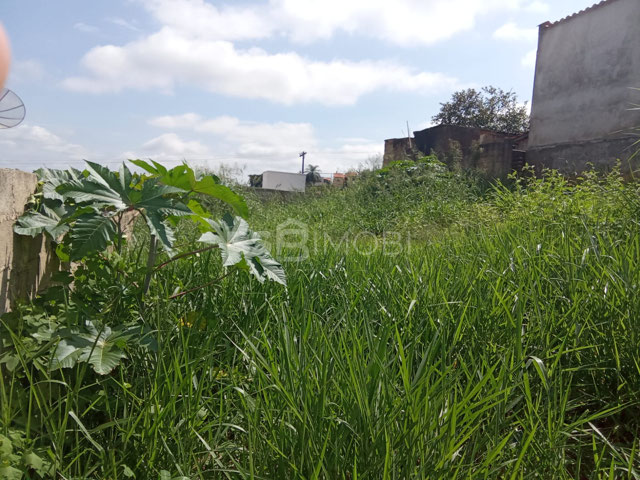 Foto cadastro cód. 1057