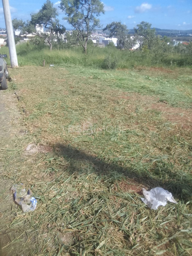 Foto cadastro cód. 1385