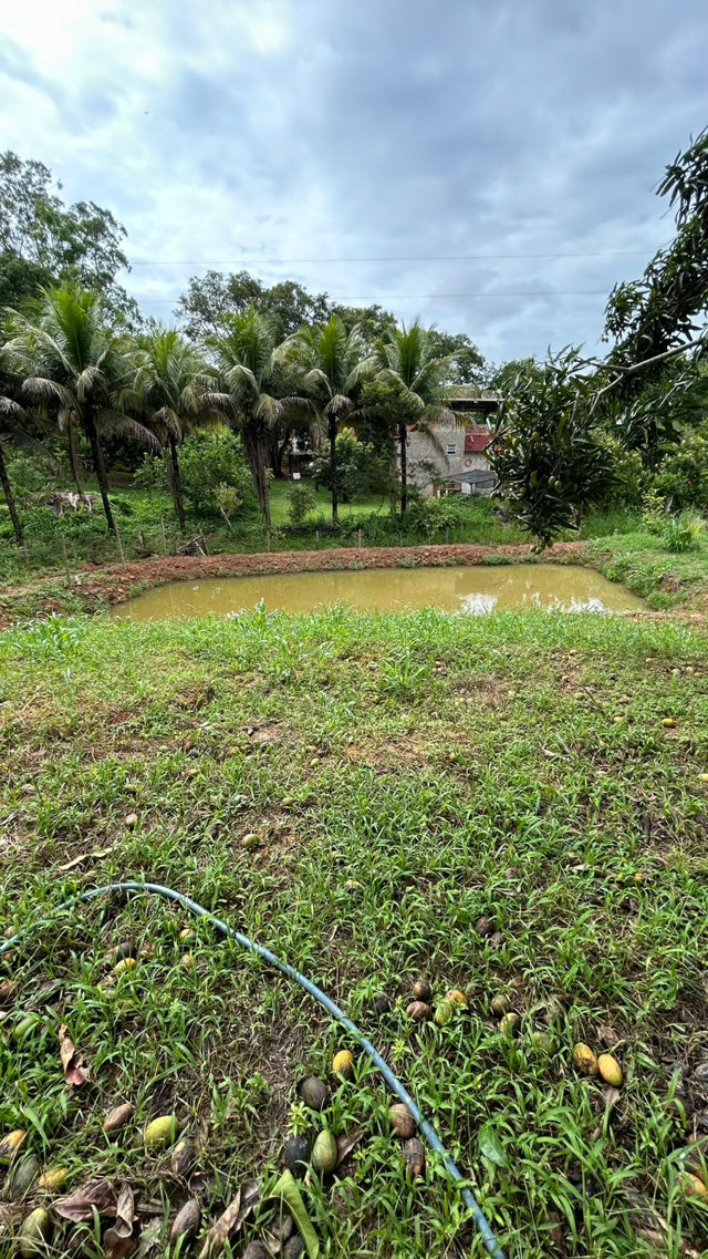 Foto cadastro cód. 23