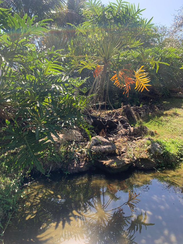 Foto cadastro cód. 1347