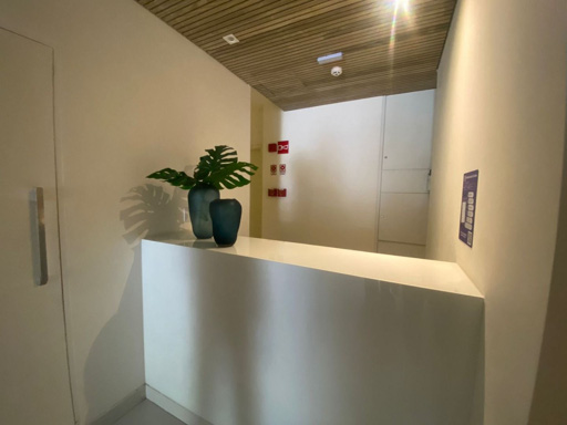 Foto cadastro cód. 1374