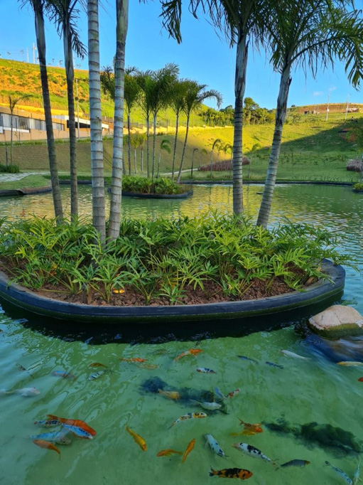 Foto cadastro cód. 144