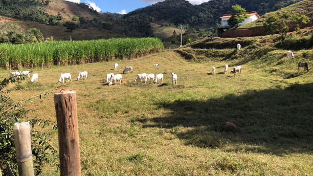 Foto cadastro cód. 1494