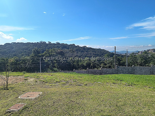 Foto cadastro cód. 3520