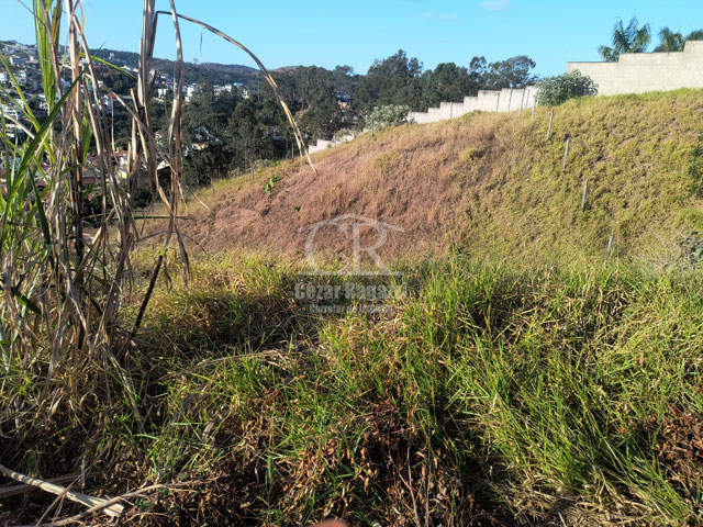 Foto cadastro cód. 3566