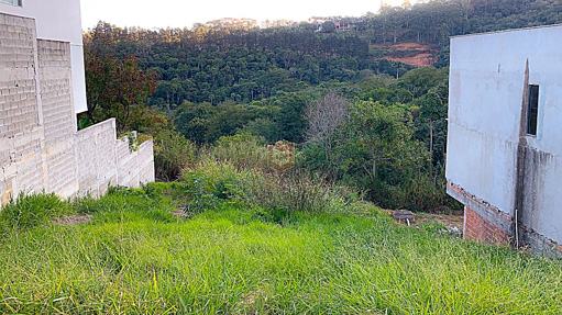 Foto cadastro cód. 8238