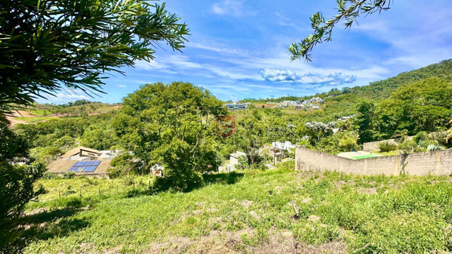 Foto cadastro cód. 8874