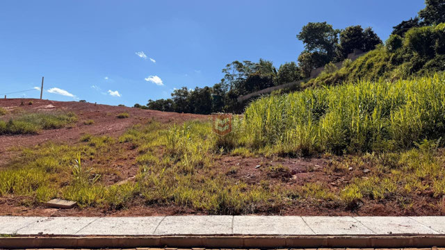 Foto cadastro cód. 8885