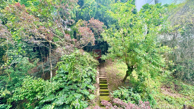 Foto cadastro cód. 8901