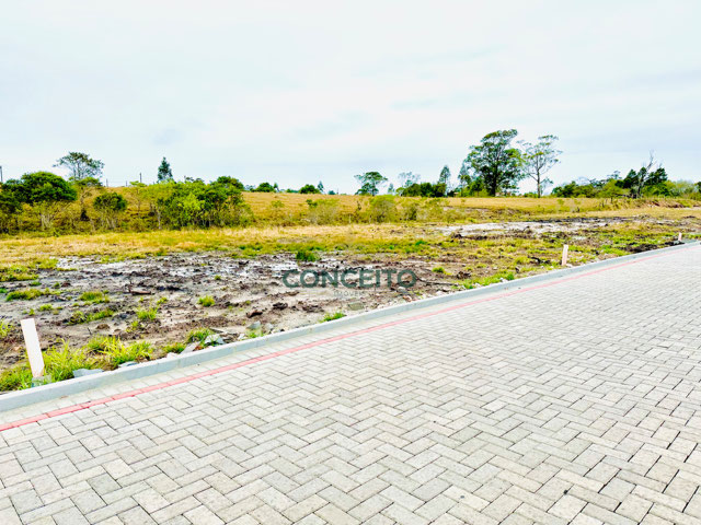 Foto cadastro cód. 2788