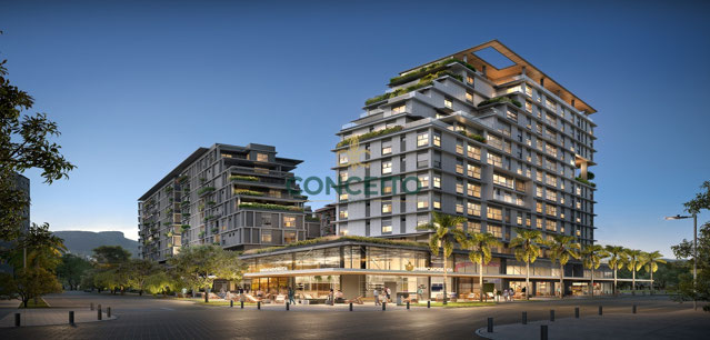 Foto cadastro cód. 481