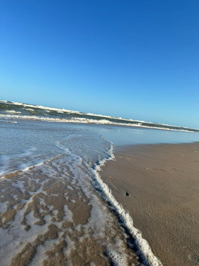 Foto cadastro cód. 1