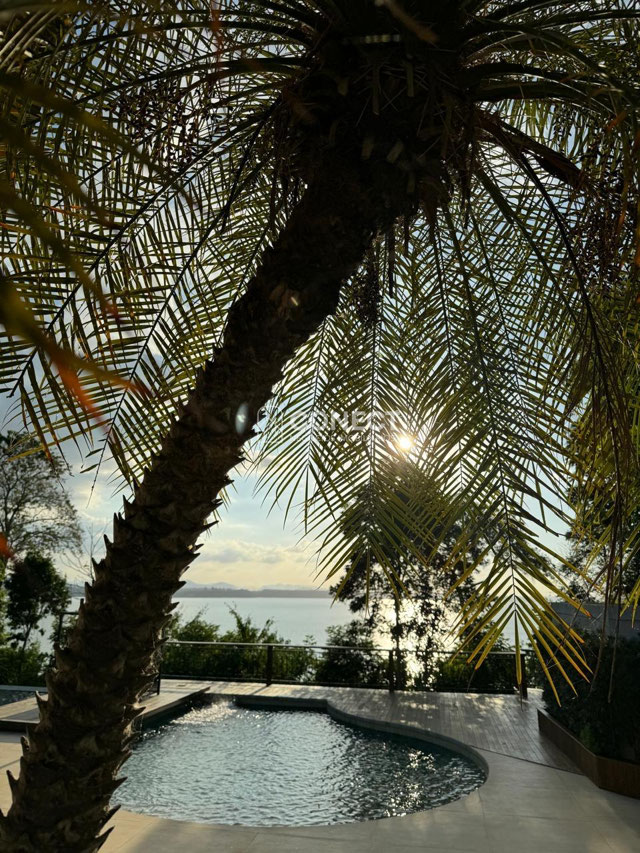 Foto cadastro cód. 125