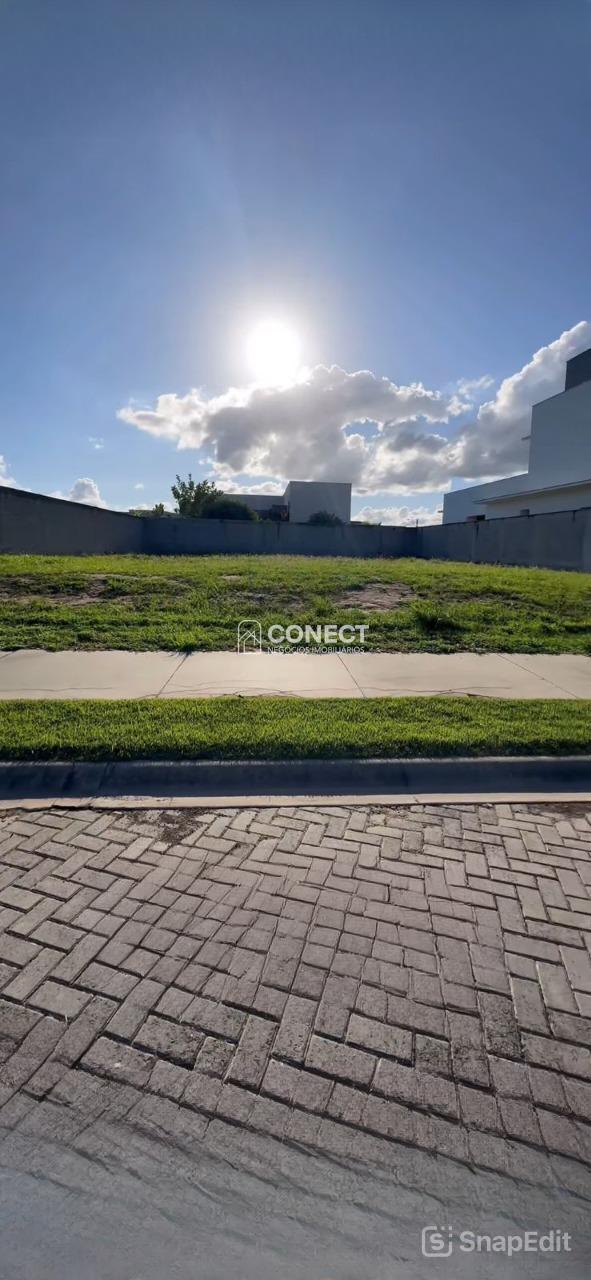 Foto cadastro cód. 42