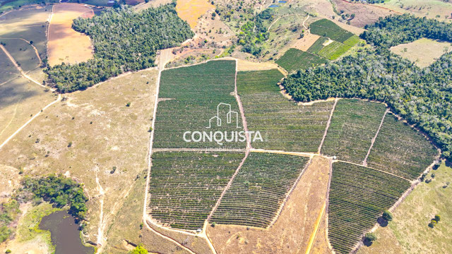 Foto cadastro cód. 182