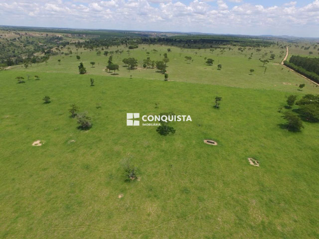 Foto cadastro cód. 556