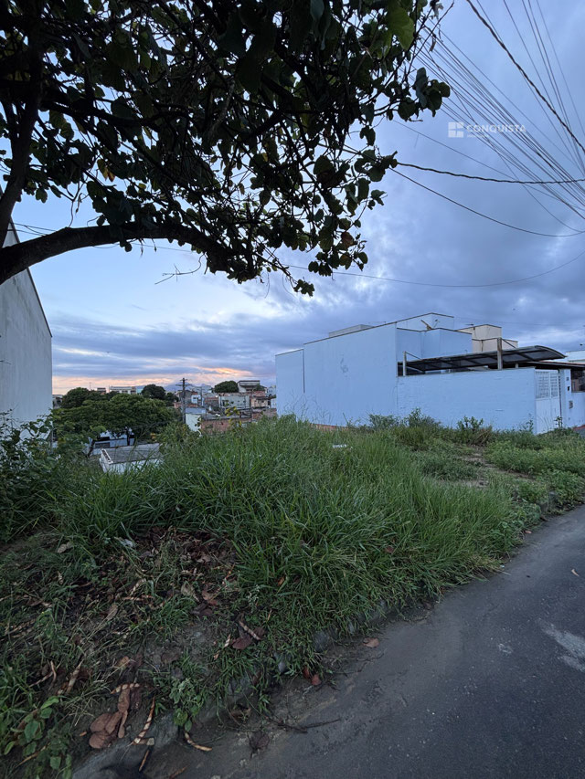 Foto cadastro cód. 980